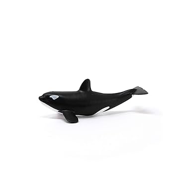 シュライヒ Schleich ザトウクジラ Humpback Whale Schleich - Humpback Whale 1:32 Scale (36cm) : Amazon.co.uk